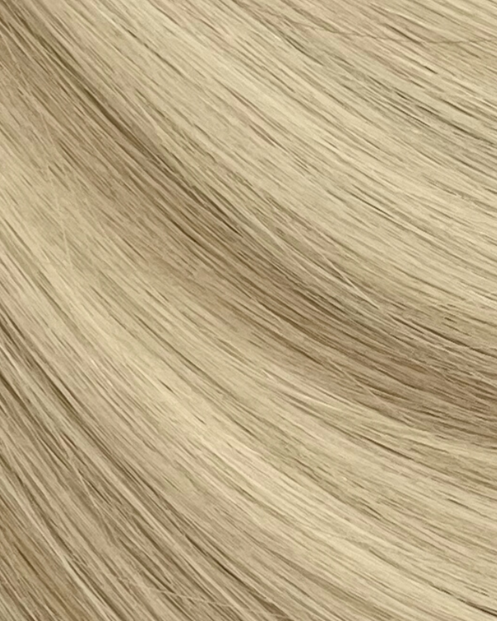 #shade_champagne_dream