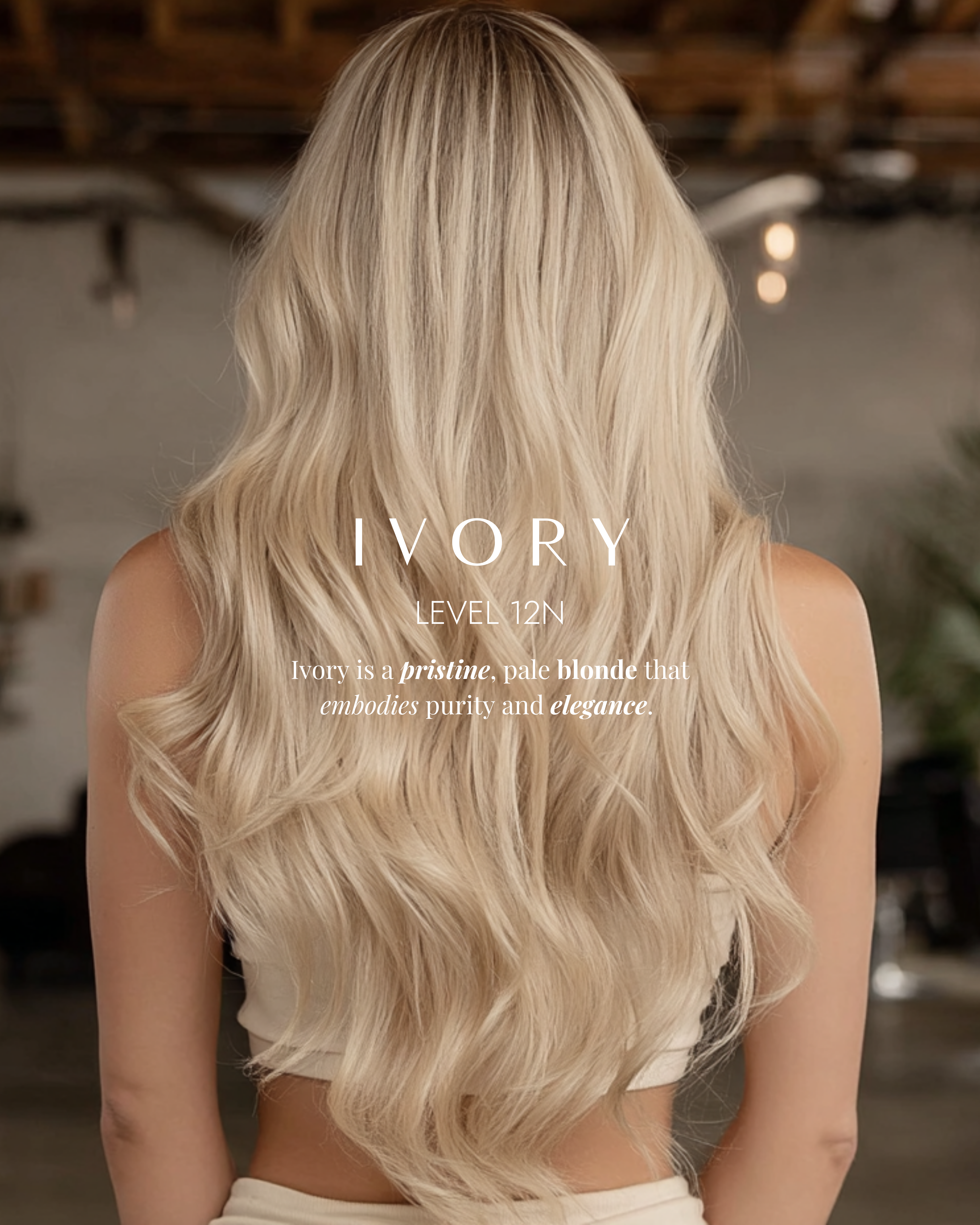 Ivory | 12N