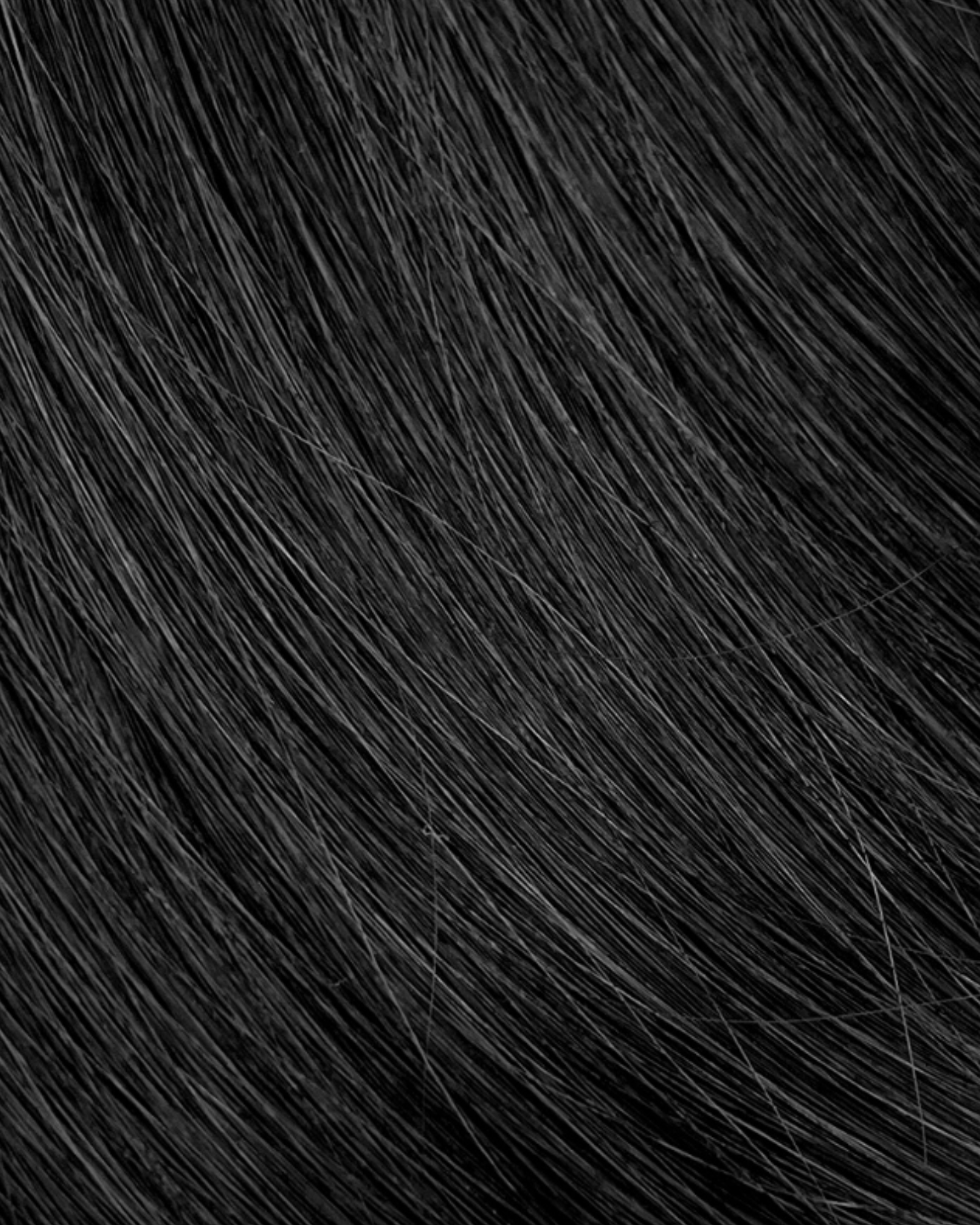 Noir | 1N
