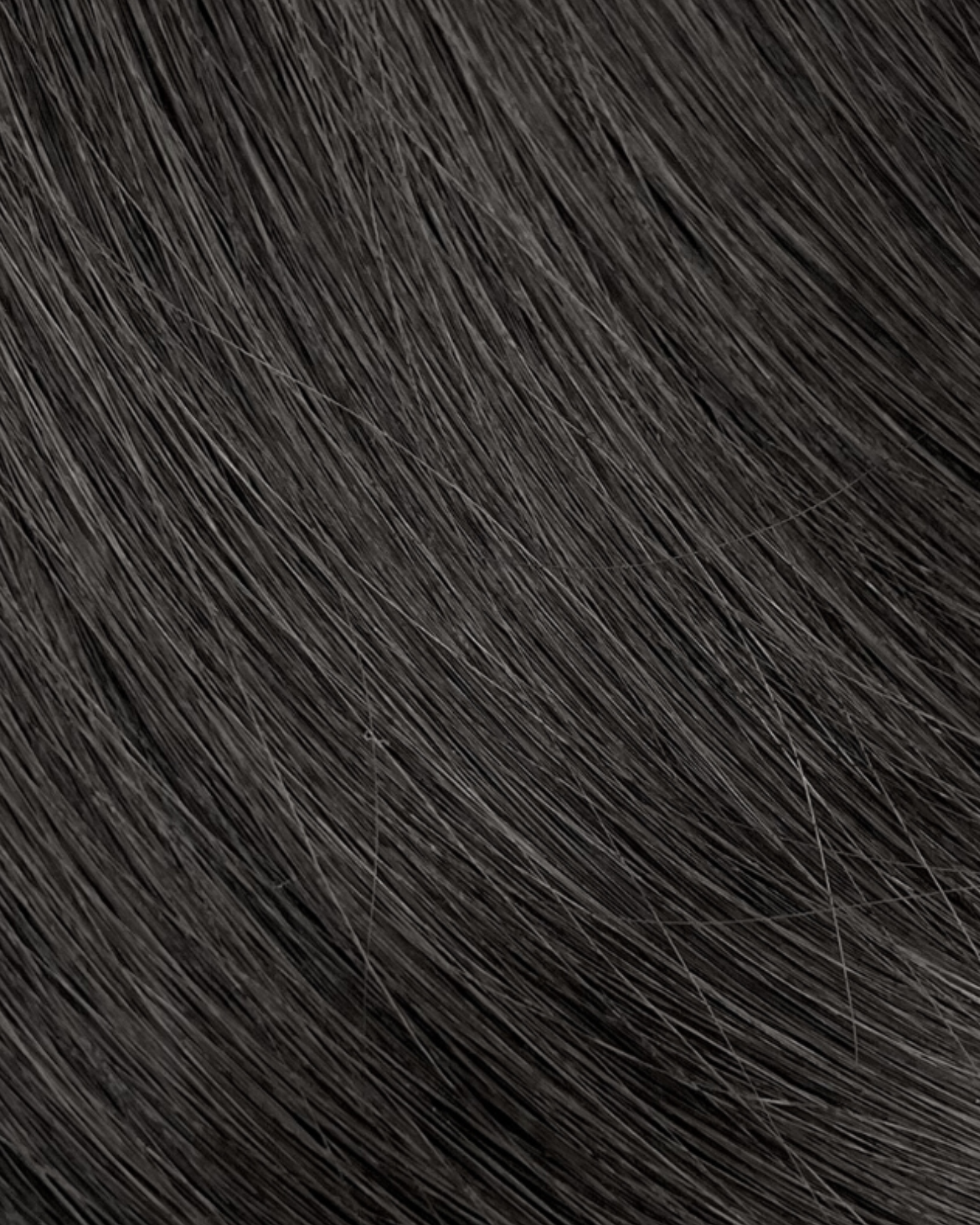 Midnight Veil | 3N