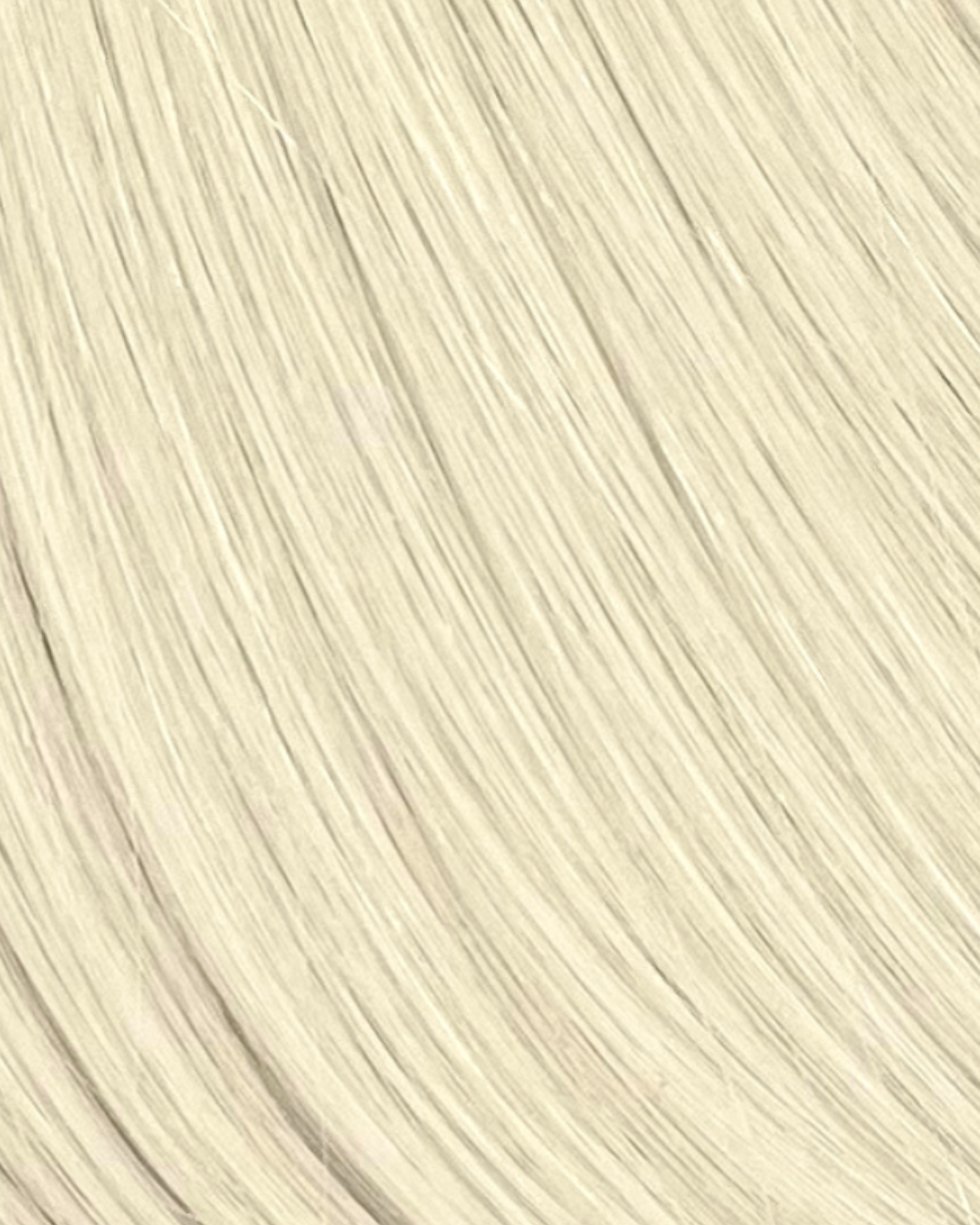 Ivory | 12N