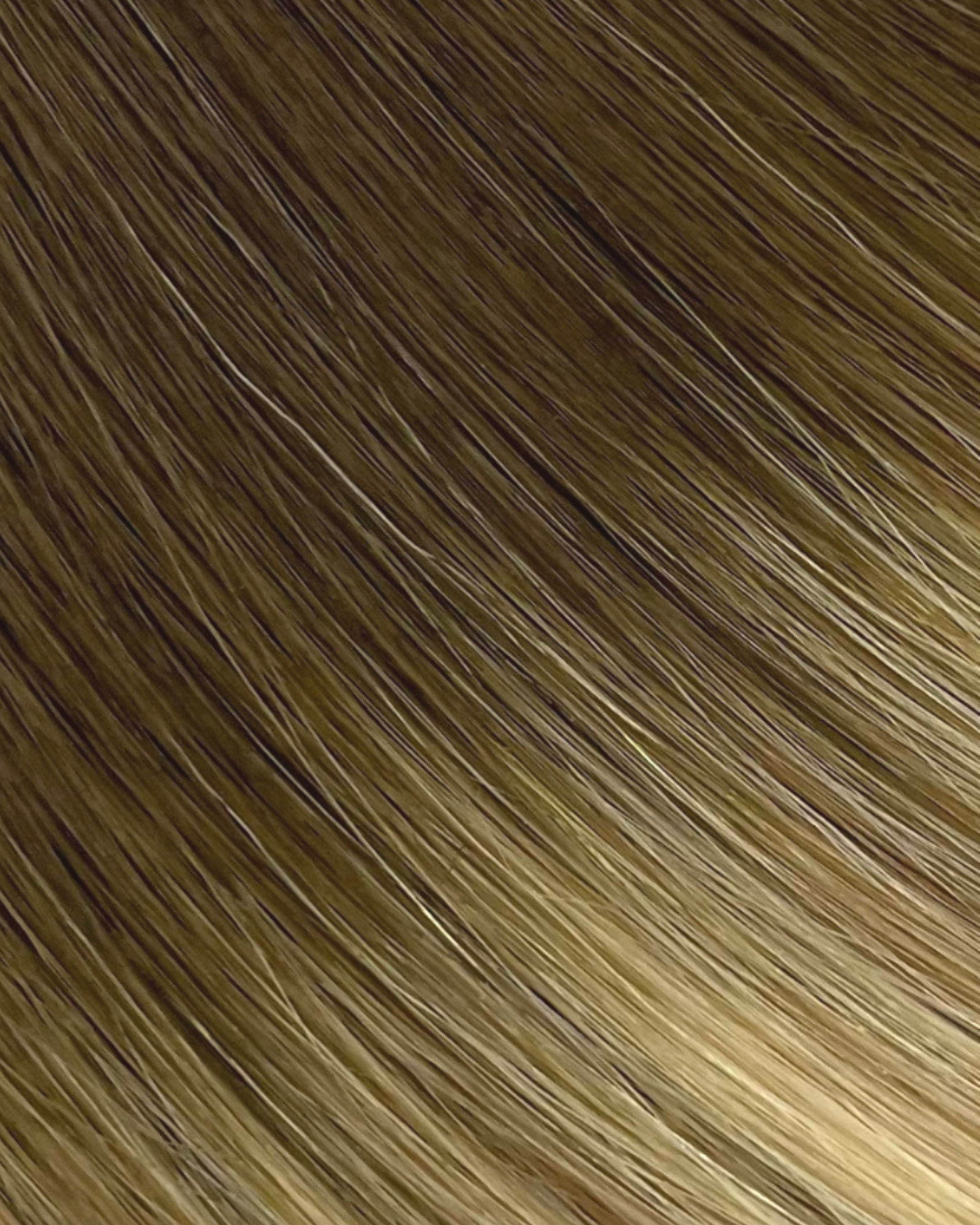 Old Money Blonde | 6NB Root | 6NB/8G/10N